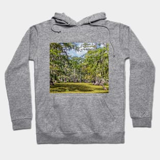 Swampy Bayou with Cypress Trees in Louisiana Hoodie